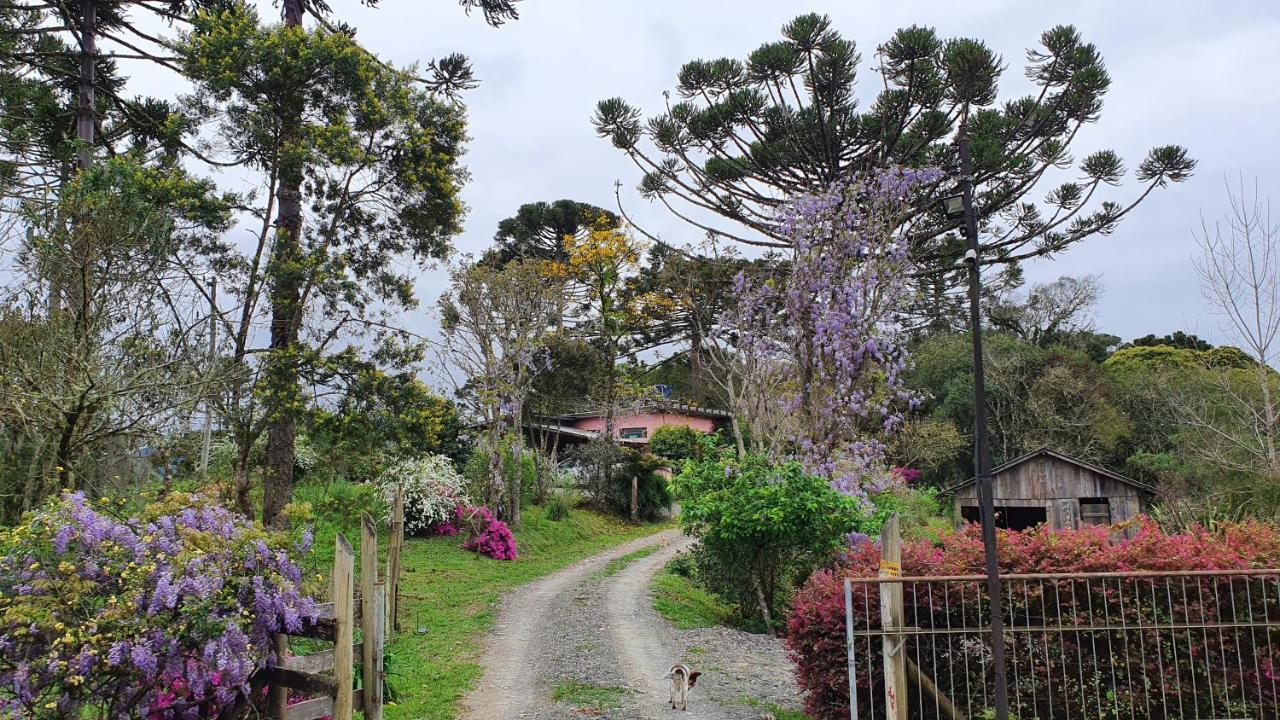 Pousada Bracatinga 邦雷蒂鲁 外观 照片